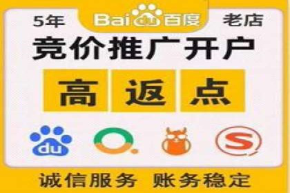 深度解析：某品牌如何通过百度推广提升销售额